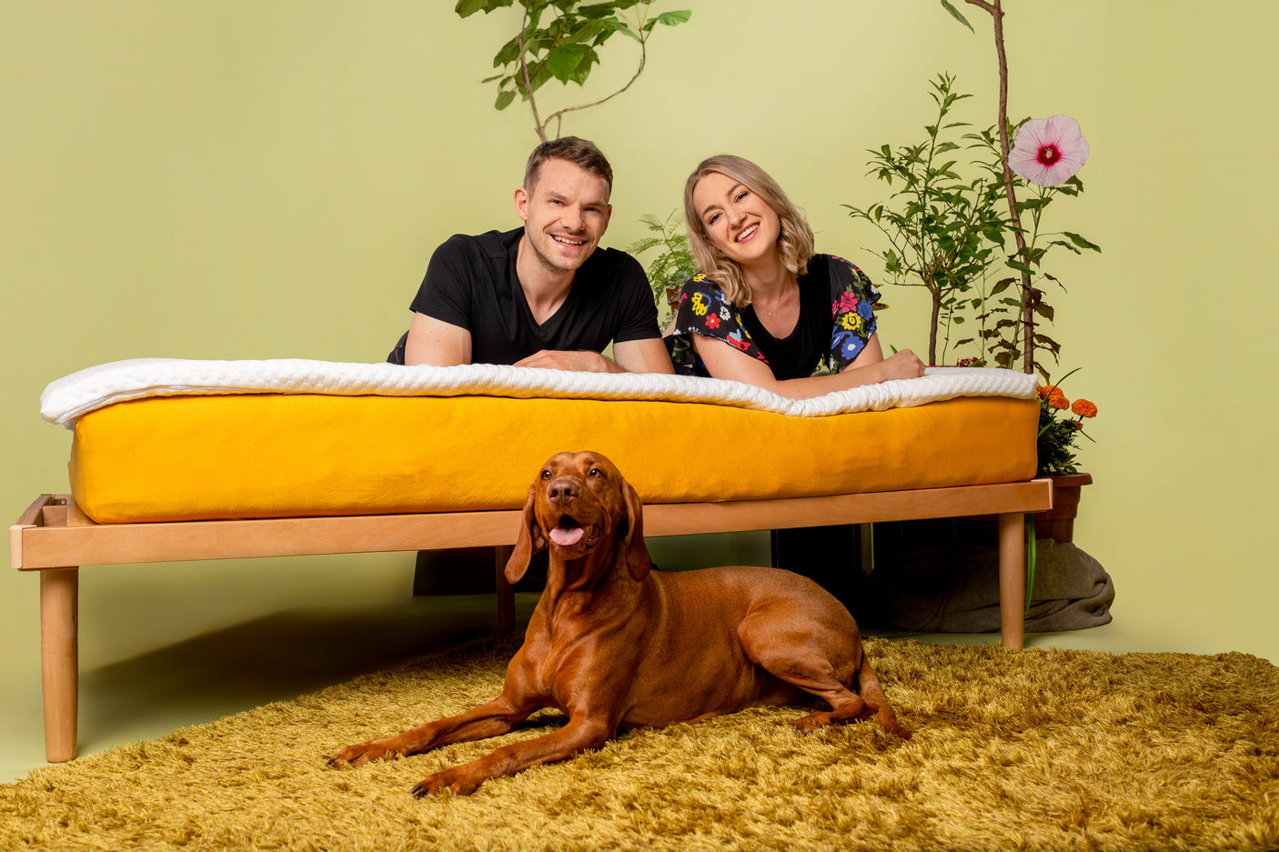 House Of dreamz - Naravni lateksni vložek za žimnico - House Of Dreamz