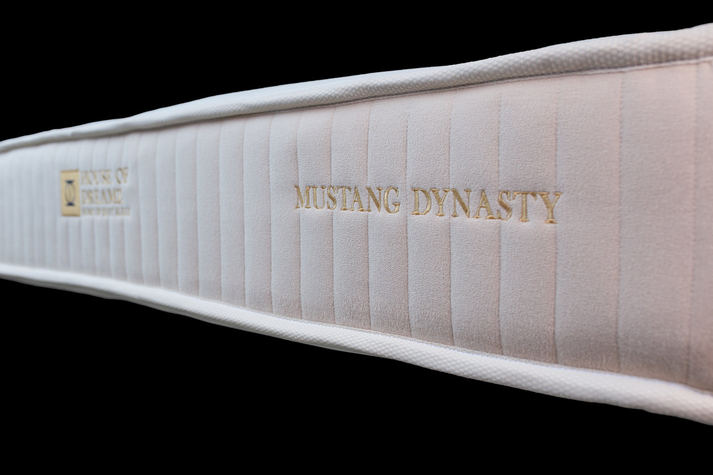 Ni za vsakogar - MUSTANG DYNASTY