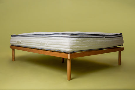 House Of Dreamz - Reciklirano ležišče Amici Oceanum, ki ga je mogoče reciklirati - House Of Dreamz